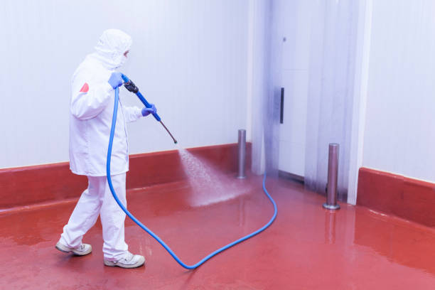 Professional Pressure Washing Services in Cedar Lake, IN
