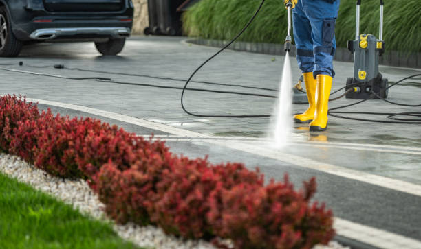 Best Graffiti Removal  in Cedar Lake, IN